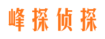 锡山市私家侦探